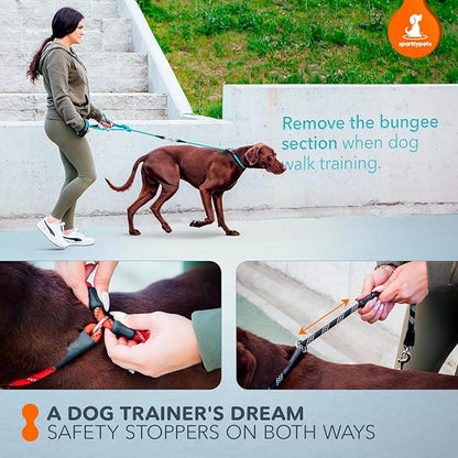 SparklyPets - Bungee Rope Handsfree Leash for 1 Dog - Demovable Slip Lead - Waist or Hip Belt Leash for Dog Walking, Running, Carnicross - Medium & Large Breeds