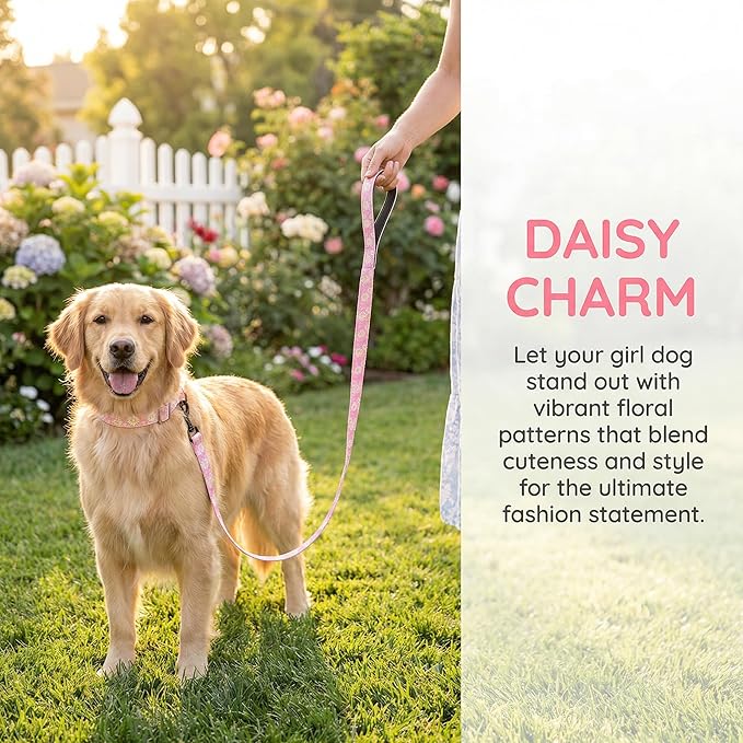 Purple Martingale Dog Collar and Leash Set for Female Dogs, Cute Daisy Pattern Girl Dog Collar, Adjustable Soft Durable Pet Collar with 5ft Matching Leash for Small Medium Large Dogs