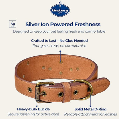 Blueberry Pet Premium Embossed Silver-Powered Freshness Microfiber Suede Leather Dog Collar in Saddle Brown