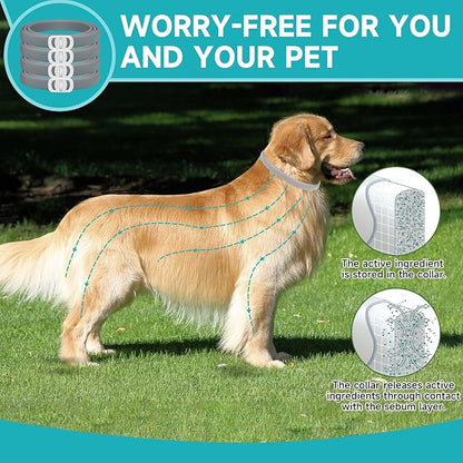 Flea and Tick Prevention for Dogs, 4 Pack Flea Collar for Dogs, Dog Flea and Tick Treatment, 32 Months Protection, Waterproof, Adjustable Collar for Dog, One Size Fits All for All Breeds, Grey