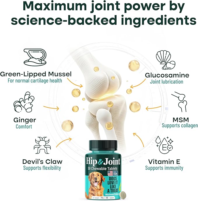 Natureflow Hip & Joint Supplement for Dogs, 300mg Green-Lipped Mussel for Dog Arthritis Pain Relief, Glucosamine, MSM & Chondroitin, Zero Sugar, Large Medium Small Breeds, 200 Chewable Tablets