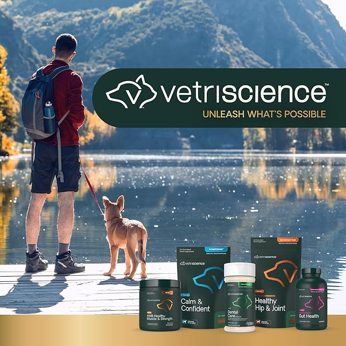 VETRISCIENCE Extra Large Pinchers Pill Hiders Chews, Non-Greasy Pill Wrap with Probiotics for Dogs, Disguise Pills, Capsules and Tablets, Soft and Chewy, Gut and Immune Health, Chicken, 2 Pack