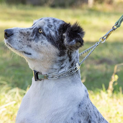 Herm Sprenger Chrome Plated Steel Dog Collar with Quick Release ClicLock Buckle and Biothane Insert Training Collar for Dogs Made in Germany (Sage Green, 16in x 2.25mm(Neck Size up to 13-14in))