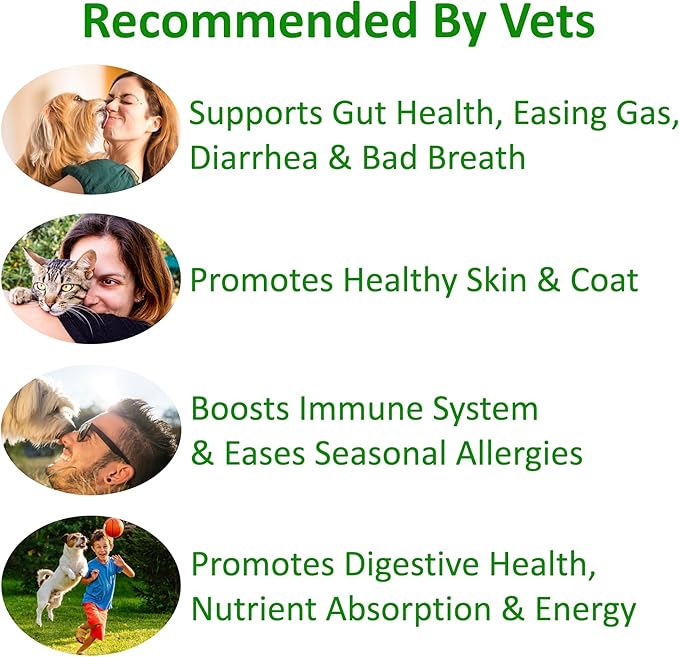 TummyWorks Probiotics for Dogs and Cats. 160 Scoops Probiotic Powder for Digestive Health, Gut, Immunity, Energy, Skin & Coat. 10 Strains, 5 Billion CFUs with 6 Enzymes & Prebiotics. Made in USA.
