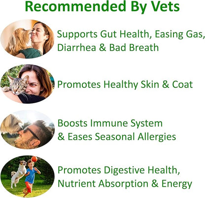 TummyWorks Probiotics for Dogs and Cats. 160 Scoops Probiotic Powder for Digestive Health, Gut, Immunity, Energy, Skin & Coat. 10 Strains, 5 Billion CFUs with 6 Enzymes & Prebiotics. Made in USA.