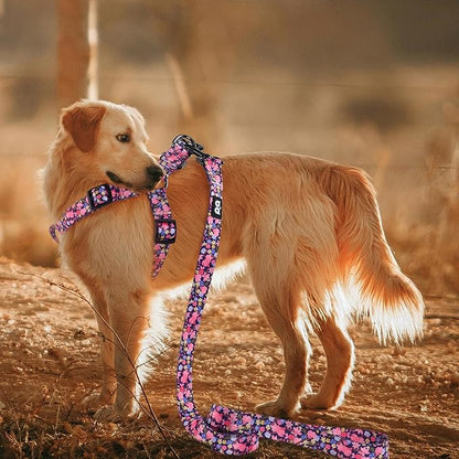 QQPETS Dog Harness Leash Set Adjustable Heavy Duty No Pull Halter Harnesses for Small Medium Large Breed Dogs Back Clip Anti-Twist Perfect for Walking