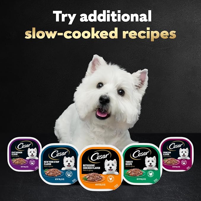 Cesar Filets in Gravy Adult Wet Dog Food Variety Pack, Filet Mignon, New York Strip and Prime Rib Flavors, 3.5 oz. Easy Peel Trays, Variety Pack, 24 Count