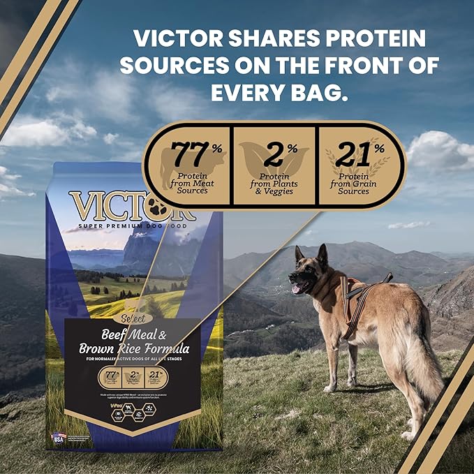 VICTOR Super Premium Dog Food – Select Beef Meal & Brown Rice Formula for Immune and Gut Health – Gluten-Free Beef Meal Dry Dog Food for All Normally Active Dogs of All Life Stages, 15 lbs