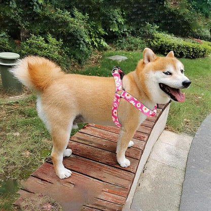 QQPETS Dog Harness Leash Set Adjustable Heavy Duty No Pull Halter Harnesses for Small Medium Large Breed Dogs Back Clip Anti-Twist Perfect for Walking (L(23"-32" Chest Girth), Daisy)
