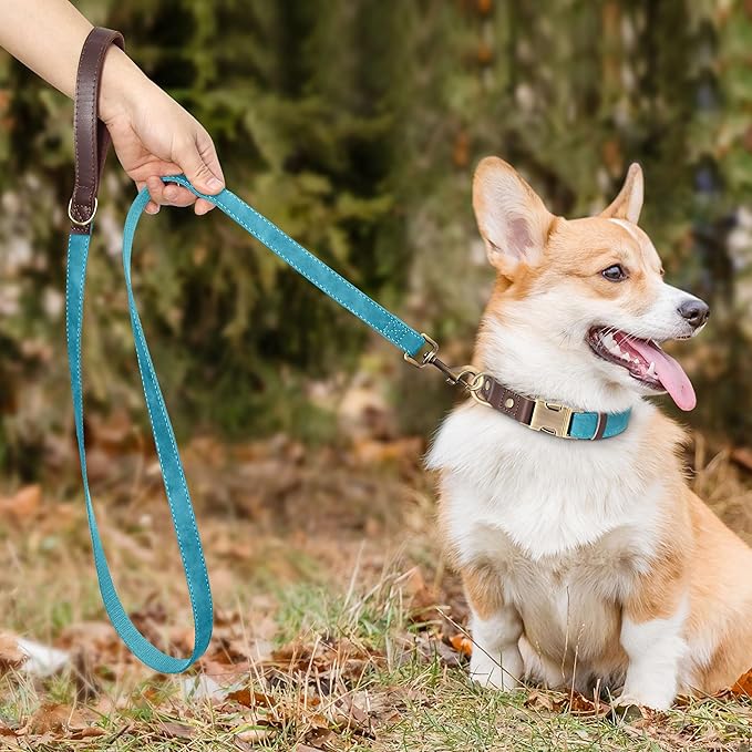 Didog PU Leather Dog Leash for Small Dogs 4.5ft, Soft Padded Handle Faux Leather Dog Leashes for Medium Dogs, Walking and Training Leashes for Large Dogs,Light Blue