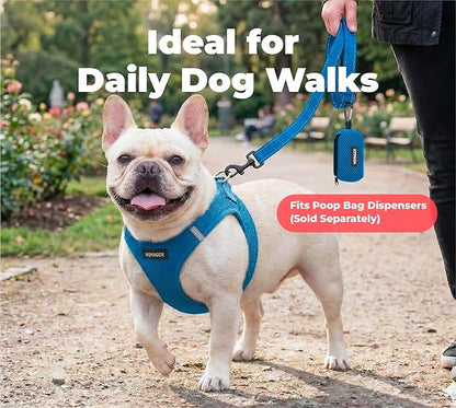 Best Pet Supplies Voyager Reflective Dog Leash or Collar with Neoprene Handle, for Small, Medium, and Large Breed Puppies, Cute and Heavy Duty for Walking, Running and Training - Royal Blue (Leash), M