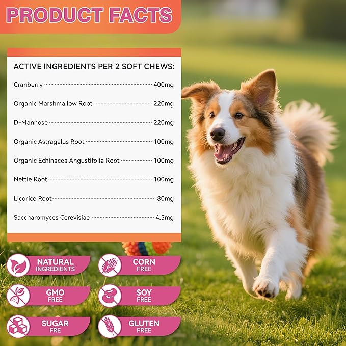 Dog Urinary Tract Supplement & Natural UTI Medicine Cranberry & D-Mannose -Kidney+Bladder Support - Best Prevention Incontinence & Bladder Stones-Cranberry Supplement - 150 Chews