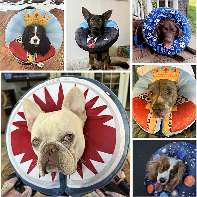 SCENEREAL Dog Cone Alternative After Surgery Pet Recovery Collar for Small Medium Large Dogs Cats, Adjustable Inflatable Donut to Prevent Licking, Shark Print E-Collars
