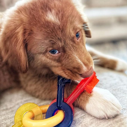 Nylabone Puppy Chew Key Ring Toy, Toys for Teething Puppies, Multi Color, Bacon Flavor, Small - Up to 25 lbs, 1 Count