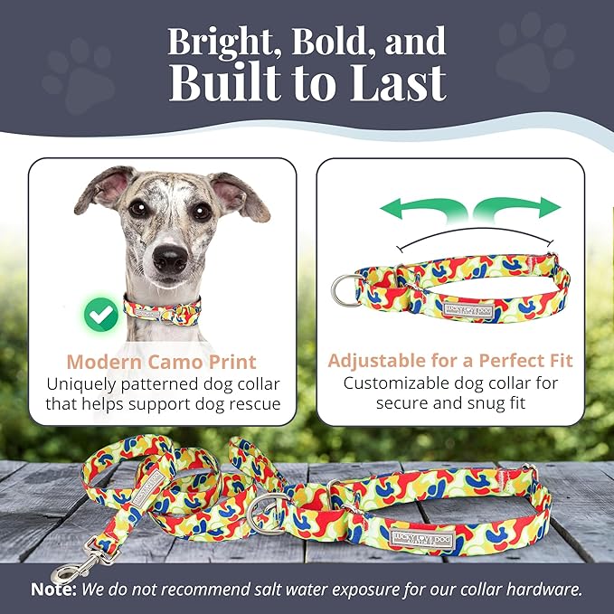 Lucky Love Dog Martingale Dog Collar & Leash - Adjustable, No-Slip, Durable, Comfortable, Soft Webbing, & Stylish Patterned Collar & Leash Set for Male and Female Dogs - Oscar Combo, Medium