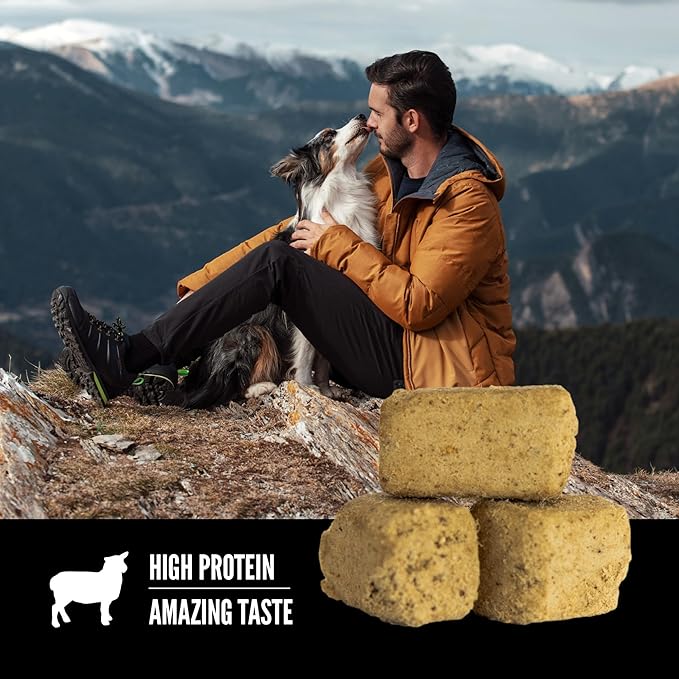 ORIJEN Grain Free High Protein Freeze Dried Dog Treats Grass Fed Lamb Recipe 3.25oz Bag