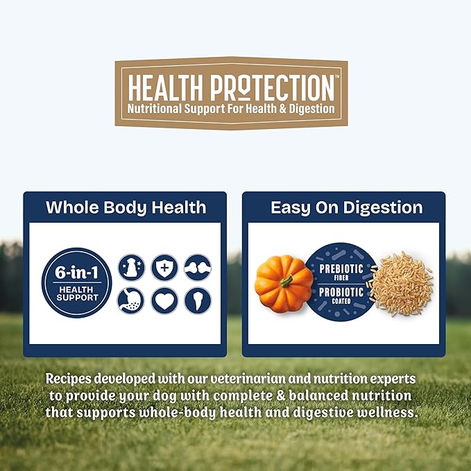 Natural Balance Health Protection Large Breed Dry Dog Food – Whole Body Health, Easy on Digestion Dog Food Made with Salmon, Brown Rice & Pumpkin for Dogs - 26lbs