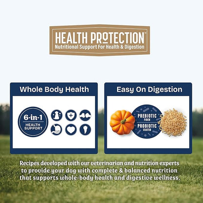 Natural Balance Health Protection Large Breed Dry Dog Food – Whole Body Health, Easy on Digestion Dog Food Made with Salmon, Brown Rice & Pumpkin for Dogs - 26lbs