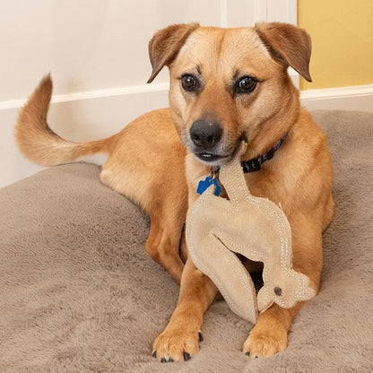 SPOT Dura-Fused Leather Fox Dog Toy – Real Leather & Jute Fabric, Double-Stitched & Durable, Squeaky Interactive Chew Toy for Moderate Chewers, Small & Medium Dogs, Soft Stuffed Fetch Toy, 7.5in
