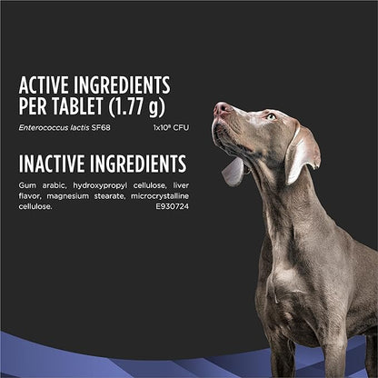 Purina Pro Plan Veterinary Supplements FortiFlora Daily Probiotics for Dogs Chewable Tablets for Digestive Gut Health and Diarrhea - 90 ct. Canister