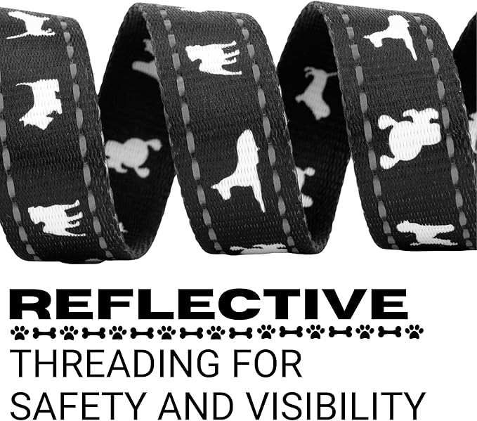 EcoBark Dog Leash - Soft & Reflective Comfort Training Leashes with Padded Handle - Safe, Strong, & Durable for Small, Medium or Large Dogs (Black)