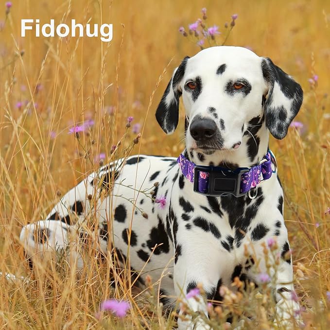 Martingale Collar for Dogs with Buckle Purple Floral Girl Female Soft Nylon Dog Collars for Extra Large Dogs (Purple Flower, XL)