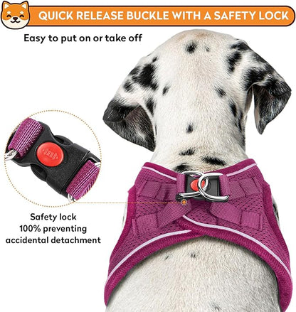 Dog Harness with Leash Set, No-Pull Step-in Reflective Pet Harness with 1 Leash Clips, Adjustable Soft Padded Easy Walk Dog Vest for Small Medium Large Dogs, Cats(Rose Red, XXXSmall)
