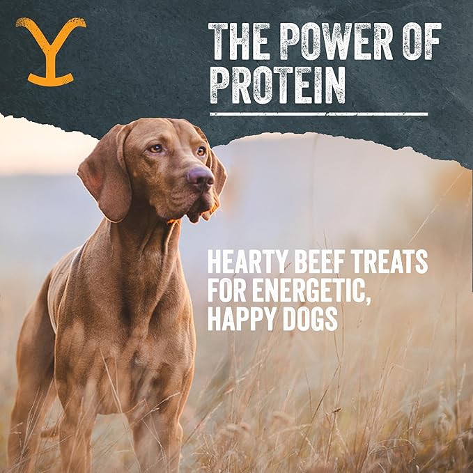 Yellowstone Limited Ingredient Dog Treats Beef Liver - Healthy Dog Treats Made in USA - Air Dried Beef Collagen Dog Jerky Treats - Crunchy & Chewy Dog Treats - Beef Dog Treats Jerky - 4 oz