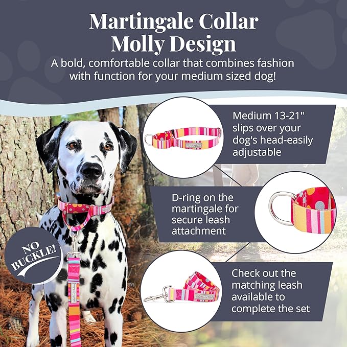 Lucky Love Dog Martingale Dog Collar - Adjustable, No-Slip, Durable, & Soft Webbing Collar for Male and Female Dogs Ideal for Training & Walking - Molly, Medium