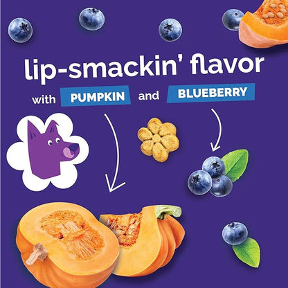 Fruitables Baked Dog Treats, Healthy Pumpkin Treat for Dogs, Low Calorie & Delicious, No Wheat, Corn or Soy, Made in the USA, Pumpkin and Blueberry Flavor, 12oz