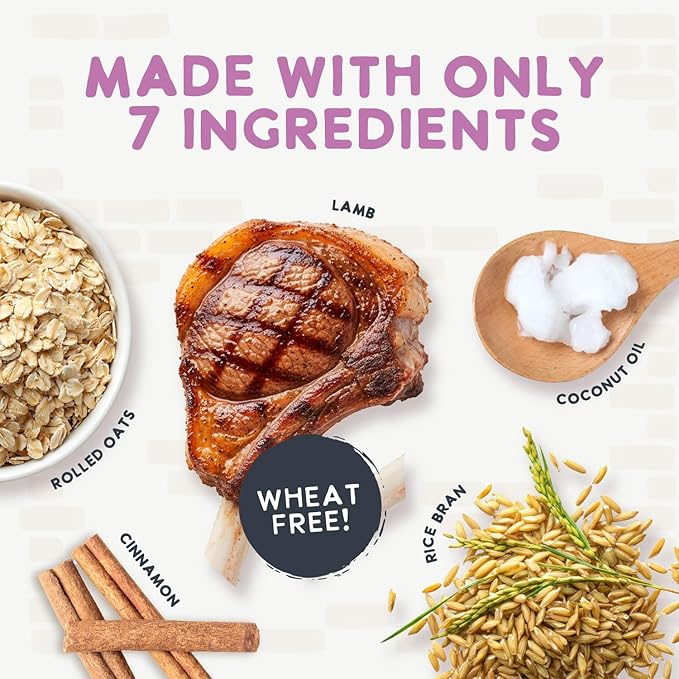 Health Extension Oven-Baked Dog Treats, Lamb Recipe – Gluten & Wheat-Free, Superfood-Infused, Crunchy Biscuits for Puppy Training (6oz)