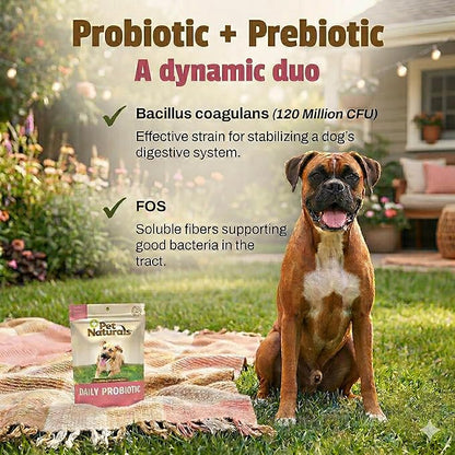 Pet Naturals Daily Probiotic Soft Chews for Dogs, Digestive and Immune Support Supplement, 1 Billion CFU Per Chew, Duck, 160 Count