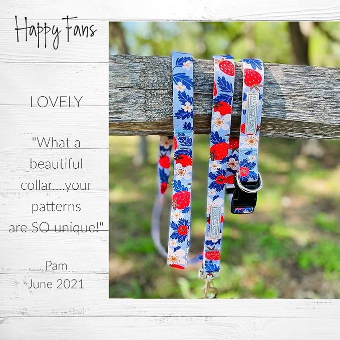 Lucky Love Dog Martingale Collar, Premium Fun Girl No Slip Collars, Strawberry Martingale Small Dog Collar, Great for Whippets, Greyhounds, and More (Sweet Berry, Small)