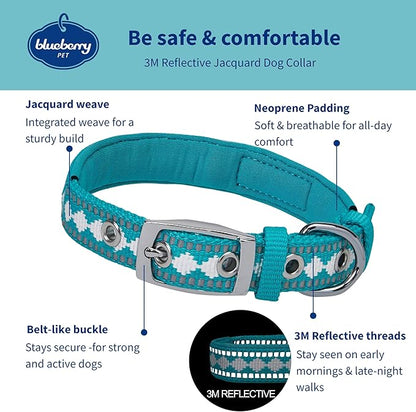 Blueberry Pet Reflective Jacquard Dog Collar with Neoprene Padding & Metal Buckle | Soft & Adjustable Safety Collar - Peacock, Neck 13-16.5", for Medium Breed