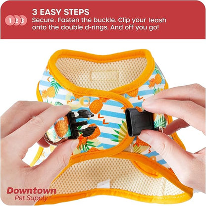 Downtown Pet Supply Step-in Dog Harness – No Pull, Adjustable Padded Mesh with Reflective Trim, Secure Buckle Strap – Comfortable & Breathable Small Dog Harness, Small, Pineapple