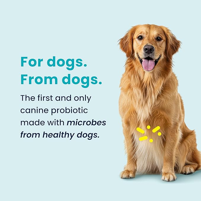 Small/Medium Dog Probiotic, the Only Product Made with Microbes Native to the Gut of Healthy Dogs, Supports Better Digestion, Gut Health, and Immune System, Maintains a Healthy Microbiome