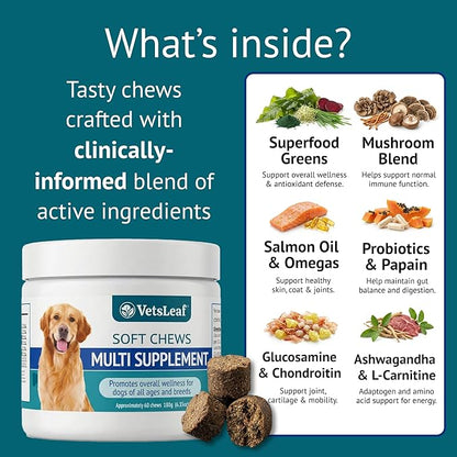 Multi Dog Chews – Comprehensive Health Supplement with Glucosamine, Probiotics, Salmon Oil, Ashwagandha & Mushrooms – Daily Well-Being, Skin & Coat, Digestion and Vitality Support
