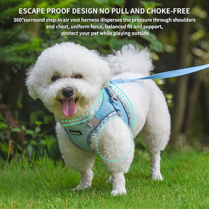 AIITLE Dog Harness and Leash Set - Ultra-Comfortable XXS-XL Vest with Strong Magic Tape & Glow-in-Dark Reflective Strips, Chafe-Free for Teddy, Schnauzer (Blue, M)