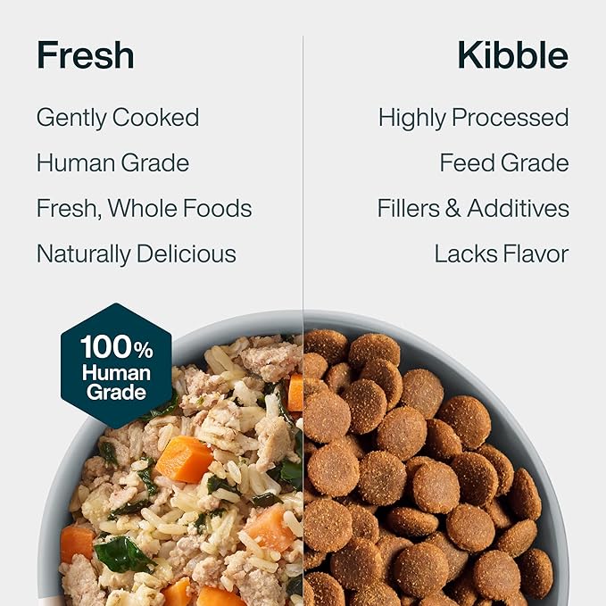 JustFoodForDogs JustFresh Wet Dog Food, Fresh Pet Meals and Toppers with No Preservatives, Resealable Package, Human Grade, Home-Cooked Chicken, 12 oz - 7 Pack