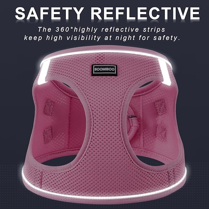 Dog Harness with Leash Set, No Pull Adjustable Reflective Step-in Puppy Pet Vest Harnesses for Small Medium Large Dogs and Cats,Purple XS