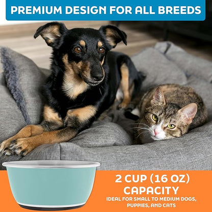 Master Pet Supply Stainless Steel Dog Bowls Set of 2 (16 Oz Each) with Non-Slip Rubber Base - Aqua Sky - Basic Dog Food Bowl Water & Food Bowls for Small Medium Large Dogs & Cats, Metal Dish