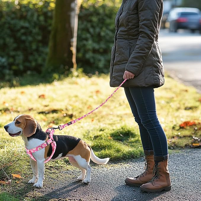 QQPETS Dog Harness Leash Set Adjustable Heavy Duty No Pull Halter Harnesses for Small Medium Large Breed Dogs Back Clip Anti-Twist Perfect for Walking (S(14"-20" Chest Girth), Daisy)