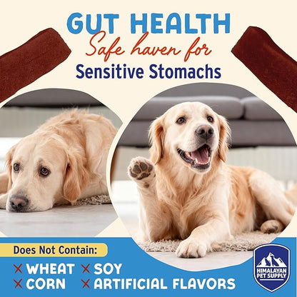 Himalayan Dog Chew Cranberry Honey Yogurt Sticks for Dogs | Protein-Rich Treats with Prebiotics & Probiotics | Lactose-Free, Grain-Free, Gluten-Free | Healthy Yogurt Chews for All Breeds | 5 Count