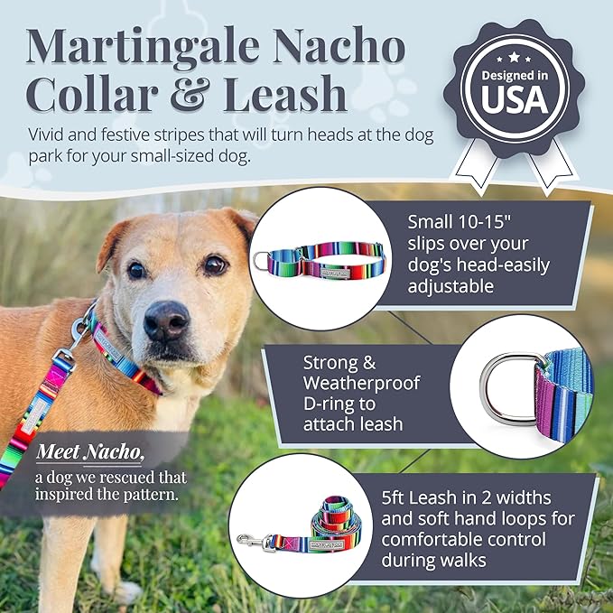 Lucky Love Dog Martingale Dog Collar & Leash - Adjustable, No-Slip, Durable, Comfortable, Soft Webbing, & Stylish Patterned Collar & Leash Set for Male and Female Dogs - Nacho Combo, Small