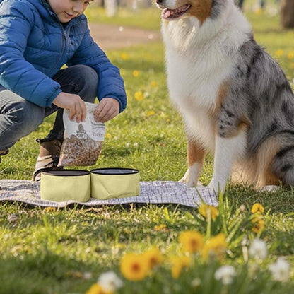 OllyDog Superbowl | Collapsible Dog Travel Bowl | 2 Compartment Food & Water | Foldable| Portable Dog Bowl | Hiking, Camping (Sol)