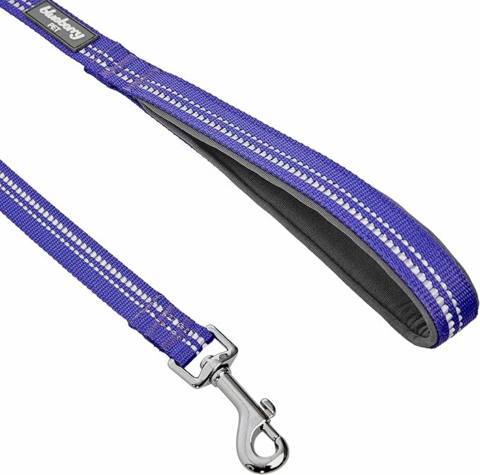 Blueberry Pet 3M Reflective Pastel Color Dog Leash with Soft & Comfortable Handle, 5 ft x 3/4", Violet, Medium, Leashes for Dogs