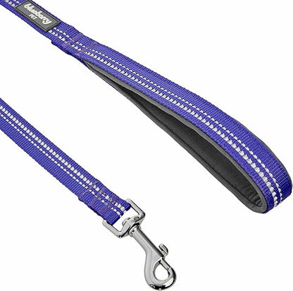 Blueberry Pet 3M Reflective Pastel Color Dog Leash with Soft & Comfortable Handle, 5 ft x 3/4", Violet, Medium, Leashes for Dogs