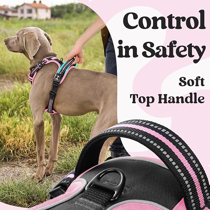 rabbitgoo Dog Harness for Large, No Pull Pet Harness with 3 Buckles, Adjustable Soft Padded Vest with Control Handle, Walking Reflective Pet Vest for Large Dogs, Black & Pink, L