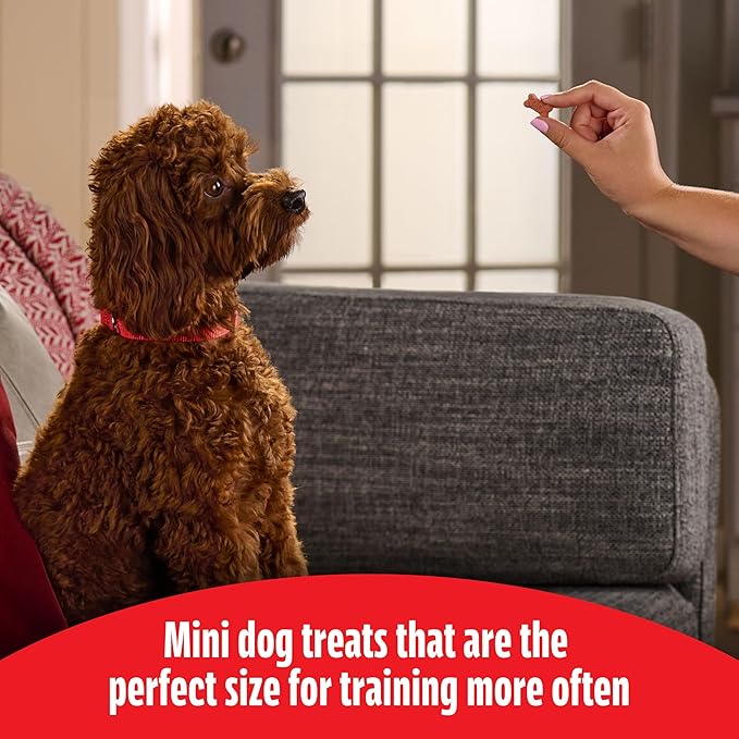Milk-Bone Soft & Chewy Dog Training Treats Made with Real Filet Mignon, Mini Size, 18 Oz. Bag