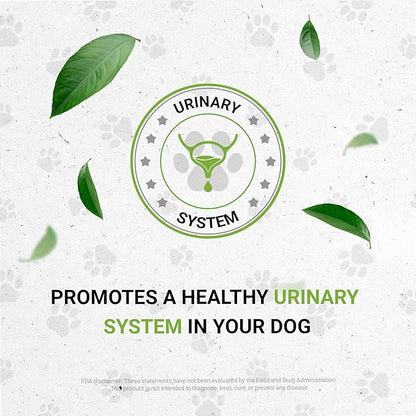 Wolf's Urinary | Natural Herbal Dietary Supplement for Dogs | Healthy Urinary System Support in Dogs | Alcohol-Free Extract, Dandelion Root, Calendula, Linden, Chamomile, Fennel 2 oz